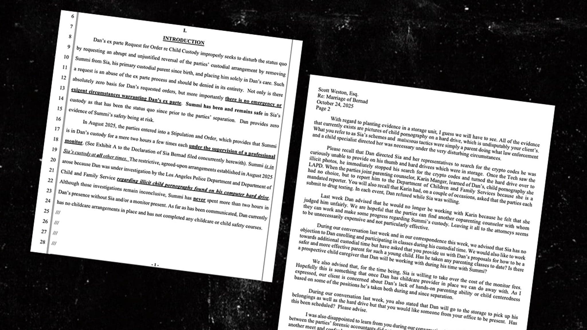 Sia's Heartfelt Battle: Seeking Stability Amid the Storm of Fame